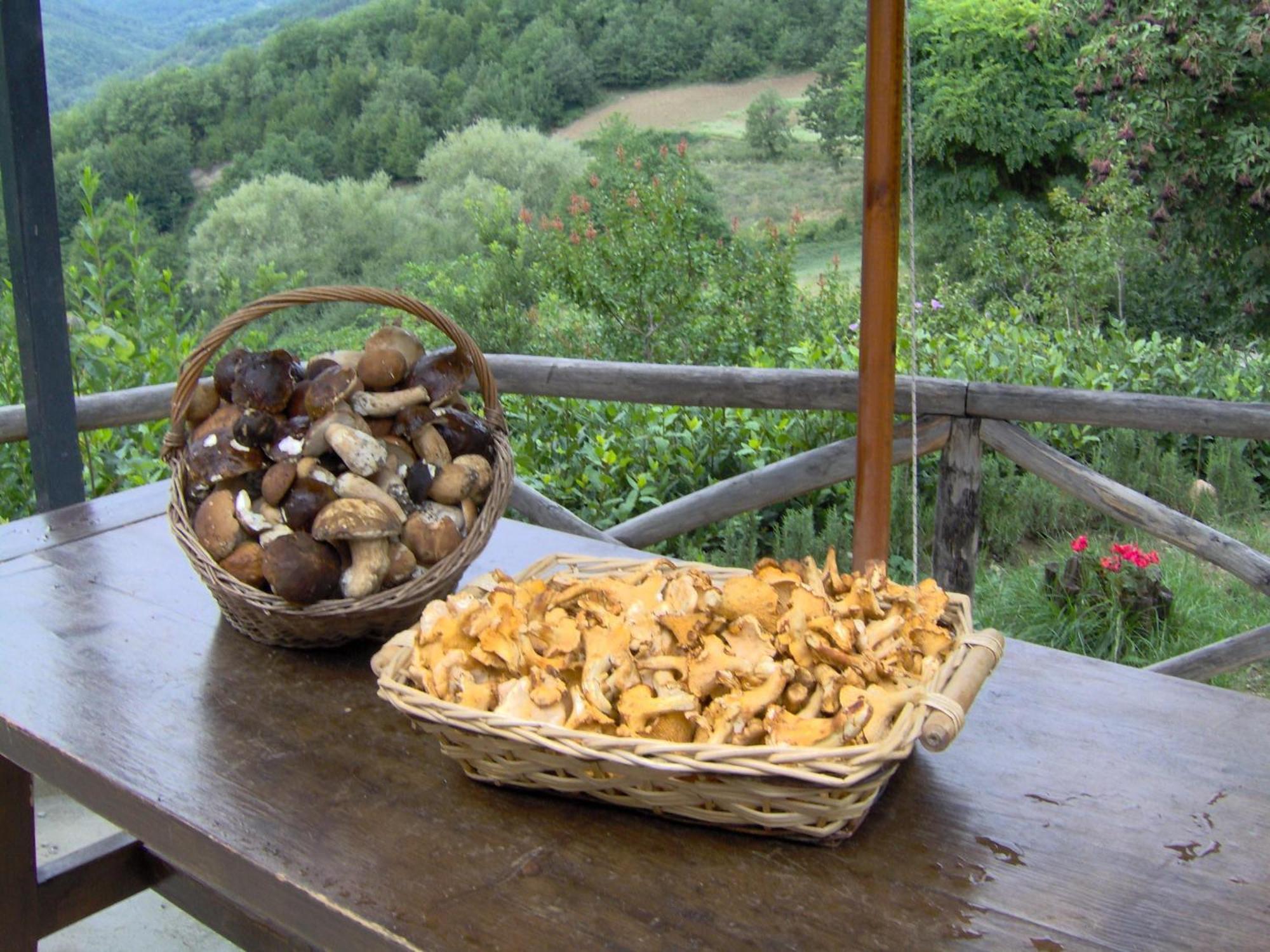 蒙泰蒙阿科 拉奇塔代拉迪蒙蒂锡比利尼旅馆旅馆 外观 照片